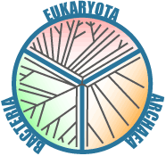 The three domains