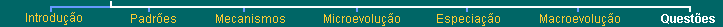 Top menu bar