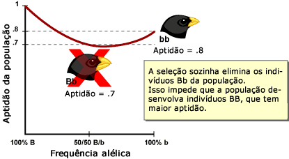 Ervas daninhas seleção sozinho para fora indivíduos Bb