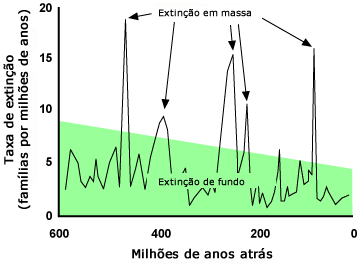 Extinction rates from 600 million years ago to the present