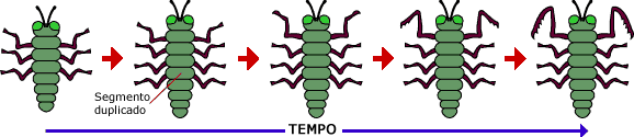 Example of module duplication