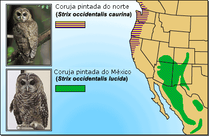 Spotted owl ranges