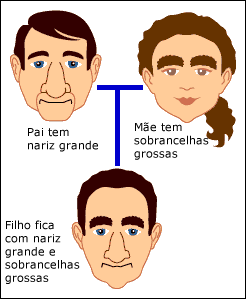 Shuffling of gene combinations
