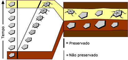 gradualismo filético