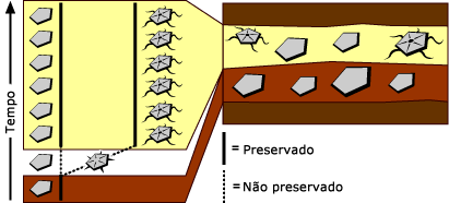 equilíbrio pontuado
