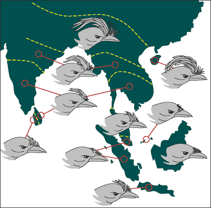 Variation over a large geographic area
