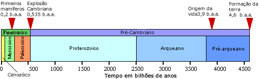 Age of rock 	 layers established using radiometric dating