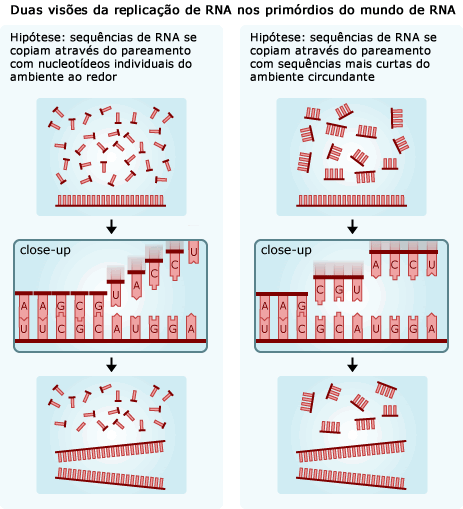 Duas visões da replicação do RNA no mundo RNA início