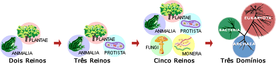 Reinos de Domínios